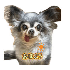 charo_20260606181916
