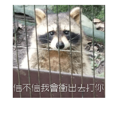 瘋狂動物們