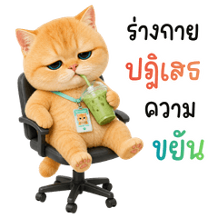เหมียวส้ม : ขี้เกียจทำงานอ่า..า (BIG)