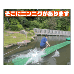 Bob shika Katan!_20260614102647