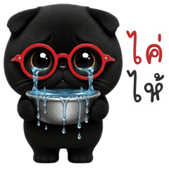 Cheeky Black Cat (Kum-muang)