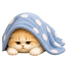 Cream Fluffy Kitten(No text)