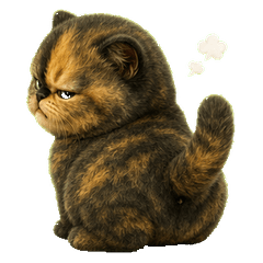 Mischievous Tortie Kitten(EN)
