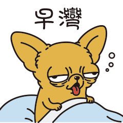 失控吉娃娃蘇莘吉-日常超實用篇