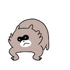 raccoon thief 9