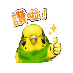 啾寶愛拉咧