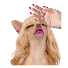 Chihuahua Japanese Gal Style Nail Art 2