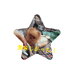 Shizuna_20260614164804