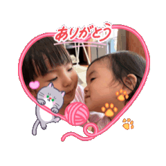 Maple_20260614164810