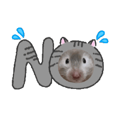 hamuchankawaii