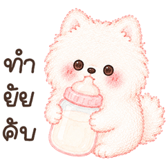 มะหมาปอมมี่ บิ้กๆ <3