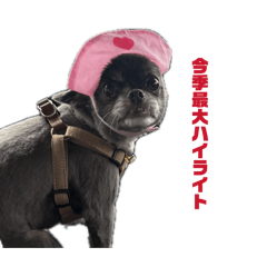 Tsugumi_20260601130520