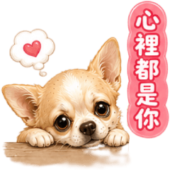 小吉來了第三彈 | 浪漫心動泡泡