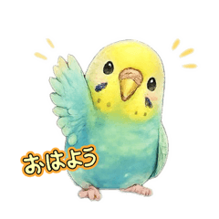 PET SEEYOUAGAIN_20260615113340