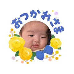 tera_20260603094811