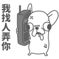 變種吉娃娃 哪裡來的瘋狗貼圖