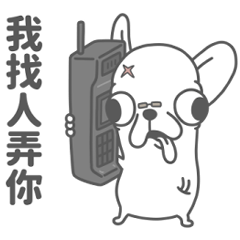變種吉娃娃 哪裡來的瘋狗貼圖