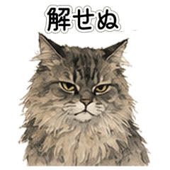 Grumpy Cat's Daily Fury