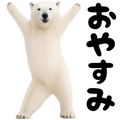 踊る！しろくま