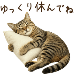 Useful all year! Tabby cat