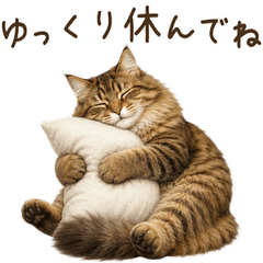 All Year Round! Siberian