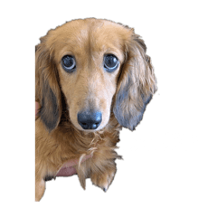 uririn_20260601165730