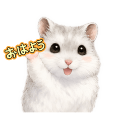 PET SEEYOUAGAIN_20260615122437