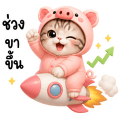 Piggy Tabby Daily Life