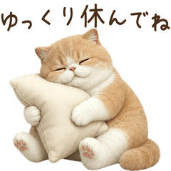 Year-round! Exotic Shorthair