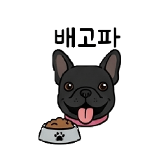 ying_2026/04/dog