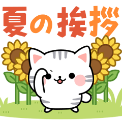 Move! American Shorthair Summer Sticker