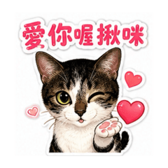 小漂亮的世界