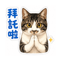 阿喵豆花的日常