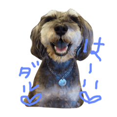 WE LOVE DARU!