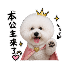 熊熊的世界@@