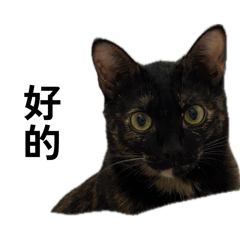 阿狸妹