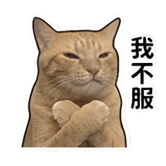 陳阿橘日常0_0