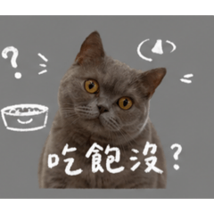 茄子喵