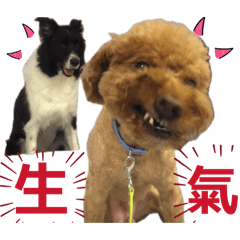 韓森愛奇米