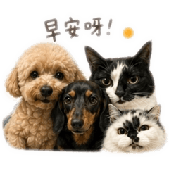 吃貨一家❤️