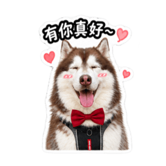 塔媽的日常