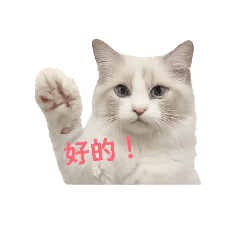 khh03