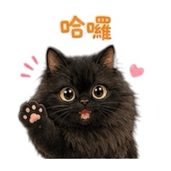 貝貝&MUJI