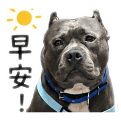臉臭不是壞
