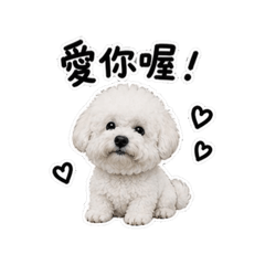 我家Kiki 寶
