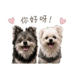 「巧」遇「糬」光：巧克力&麻糬  姊妹篇