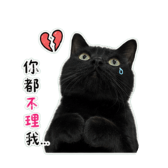 白白&酷囉