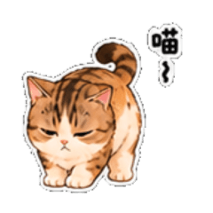 哥哥日常part3