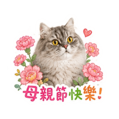 Maylinisacat-各種快樂貓