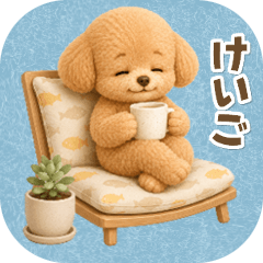 A gentle toy poodle for everyday use
